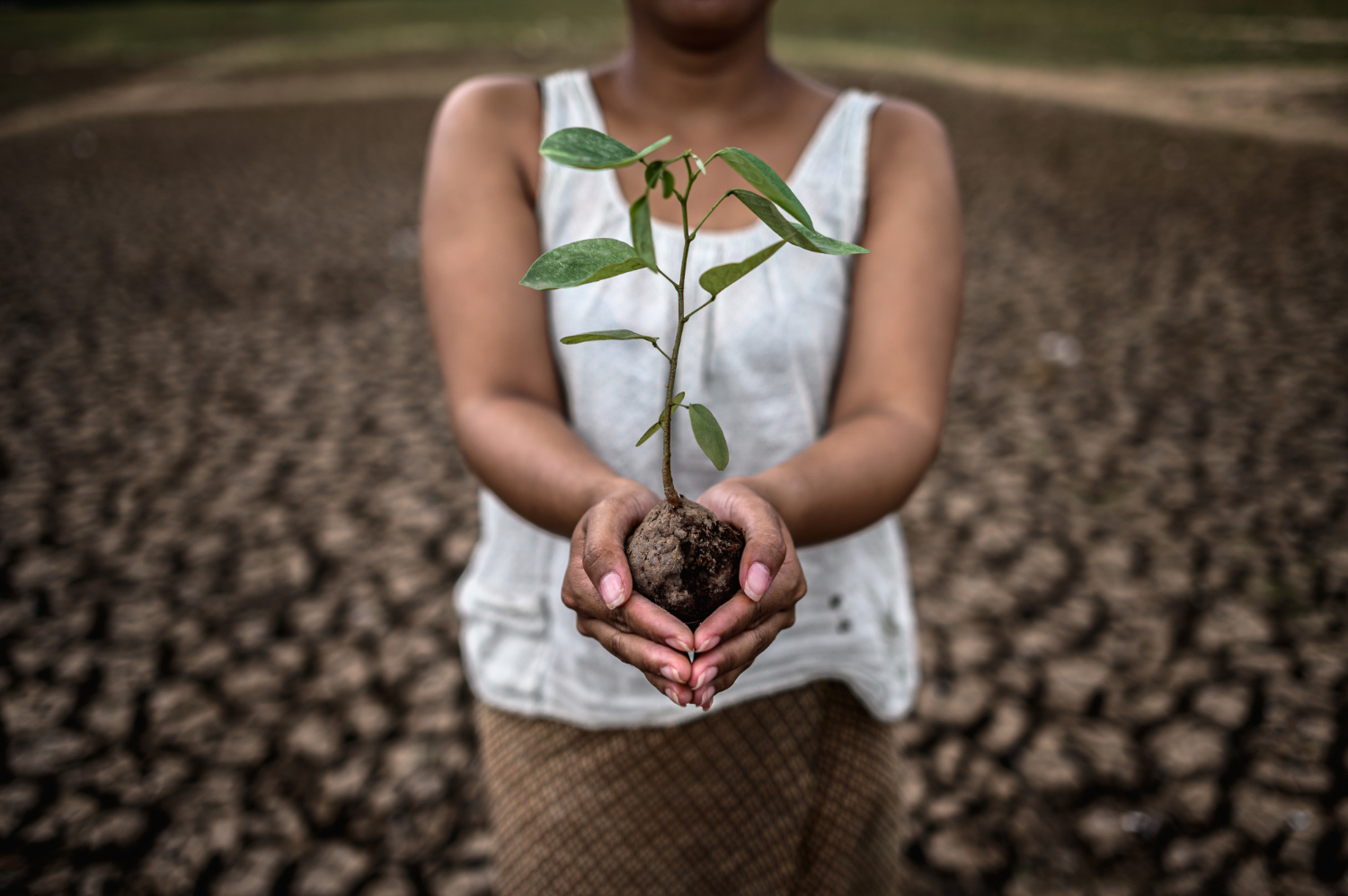 Climate Change and Community Health: Preparing Health Workers for Emerging Challenges